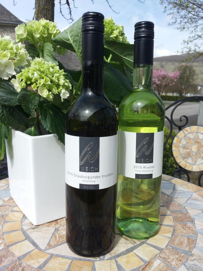 Отель Weingut Weich Riol Экстерьер фото