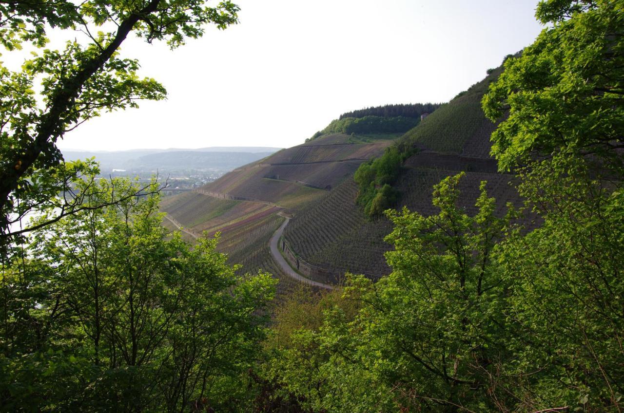 Отель Weingut Weich Riol Экстерьер фото