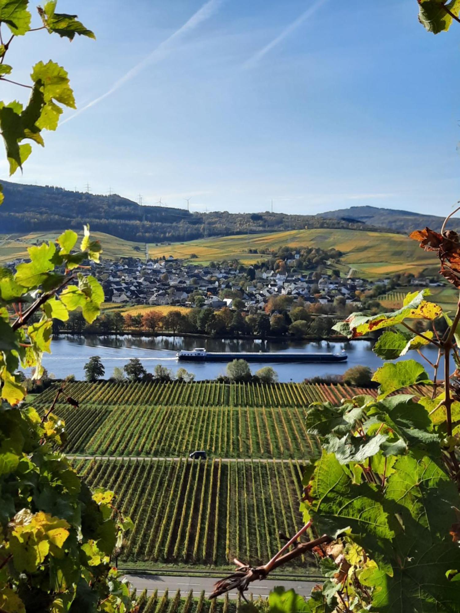 Отель Weingut Weich Riol Экстерьер фото