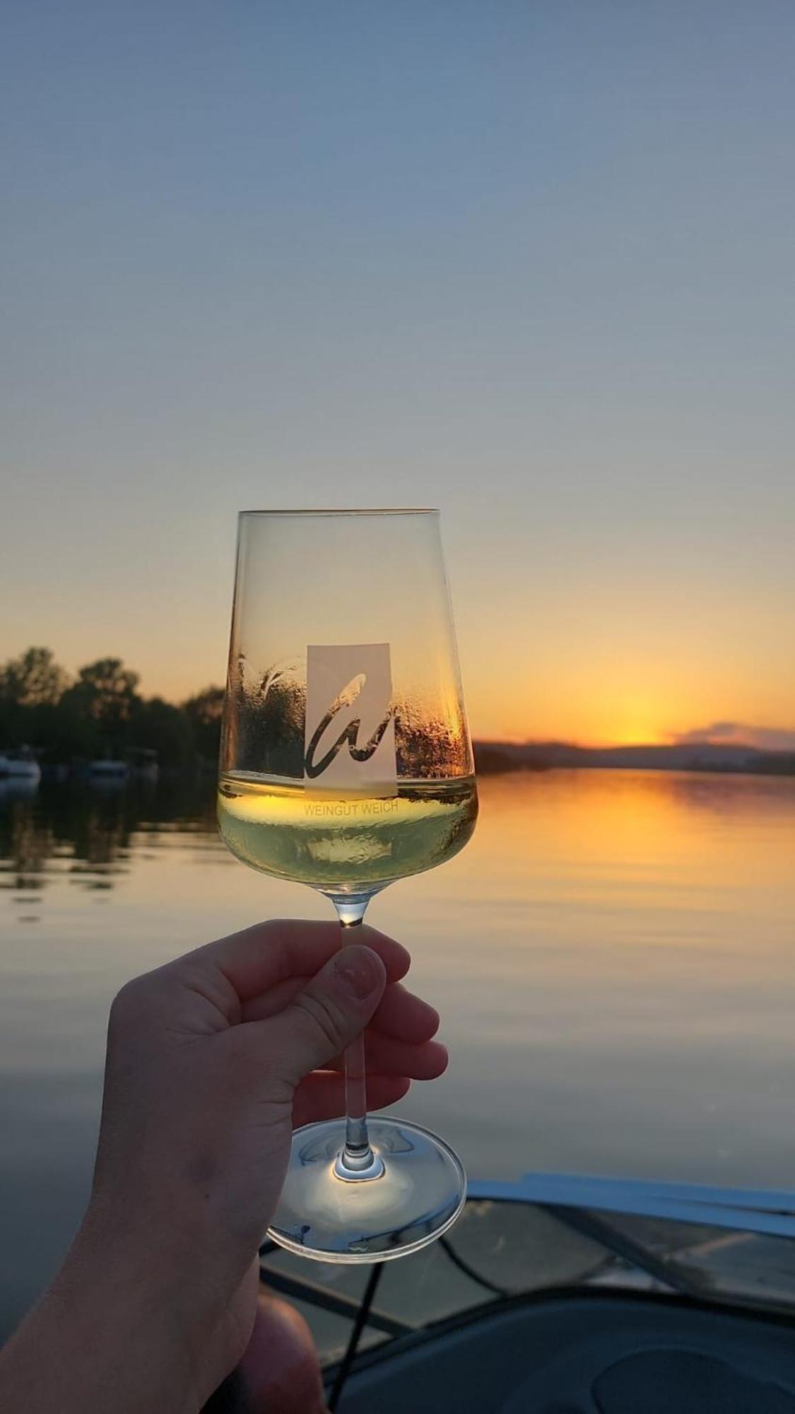 Отель Weingut Weich Riol Экстерьер фото